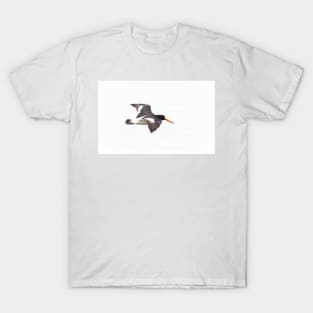 Black and white variable oystercatcher in flight T-Shirt